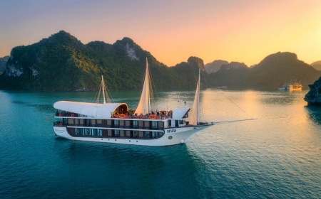 SENA CRUISE HALONG BAY - LAN HA BAY