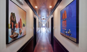 5 STAR-  DRAGON CRUISE
