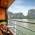 5 STAR-  DRAGON CRUISE