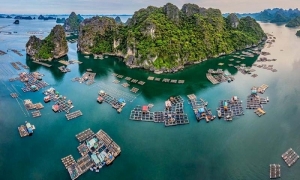 HALONG BAY DAILT TRIP - DELUXE TRIP