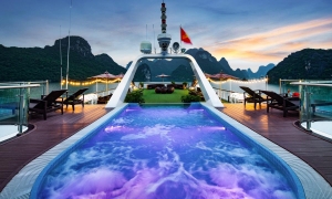 DORA 5 STAR CRUISE