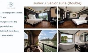 DORIS CRUISE - 5 STAR CRUISE