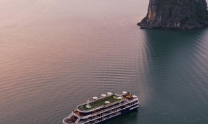 5 STAR-  DRAGON CRUISE