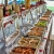 COZY BAY PREMIUM CRUISE — LUXURY DAY TRIP
