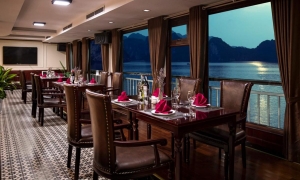 DORA 5 STAR CRUISE