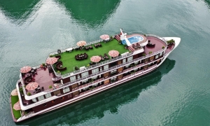 DORA 5 STAR CRUISE