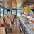 COZY BAY PREMIUM CRUISE — LUXURY DAY TRIP