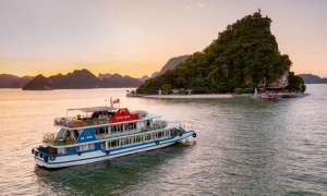 COZY BAY PREMIUM CRUISE — LUXURY DAY TRIP